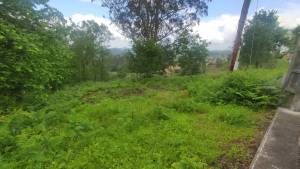 Últimas incorporaciones. Propiedad ES33217