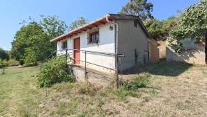 Últimas incorporaciones. Propiedad ES33506