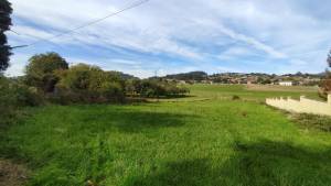 Últimas incorporaciones. Propiedad ES33627