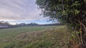 Últimas incorporaciones. Propiedad ES33643